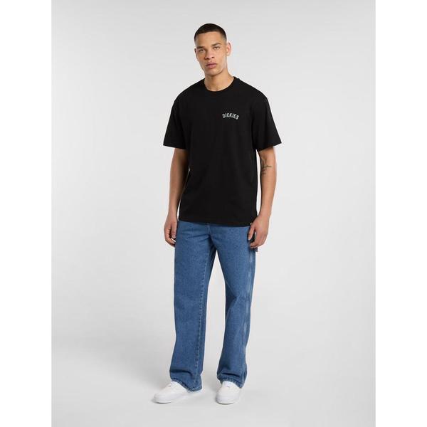 Dickies Snake Graphic T-Shirt Black-Black Sheep Skate Shop