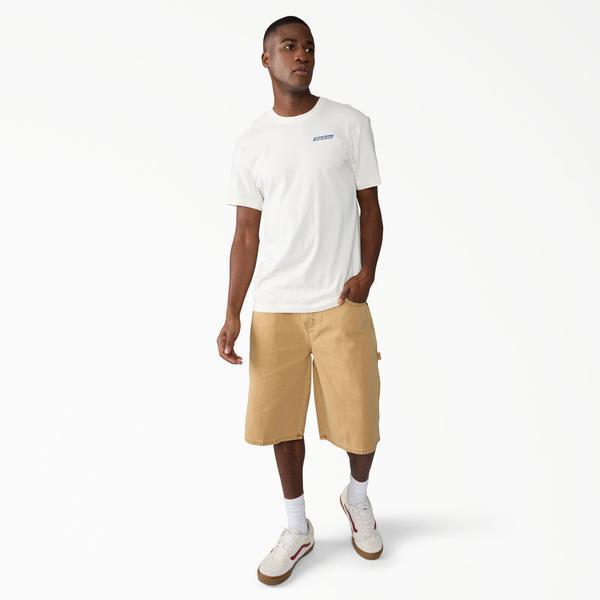 Dickies Worn In Relaxed 13" Carpenter Shorts Brown Duck Canvas-Black Sheep Skate Shop