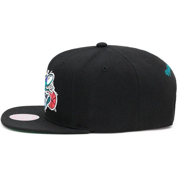 Mitchell & Ness Charlotte Hornet Core Basics Retro HWC Snapback Hat Black-Black Sheep Skate Shop