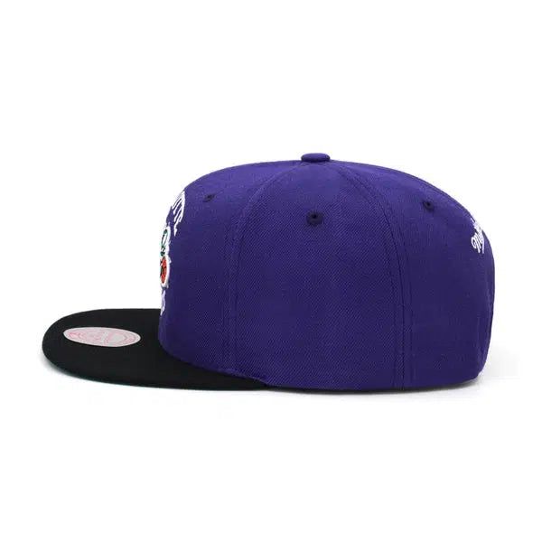 Mitchell & Ness Charlotte Hornets Core Basic Throwback HWC Snapback Hat Purple-Black Sheep Skate Shop