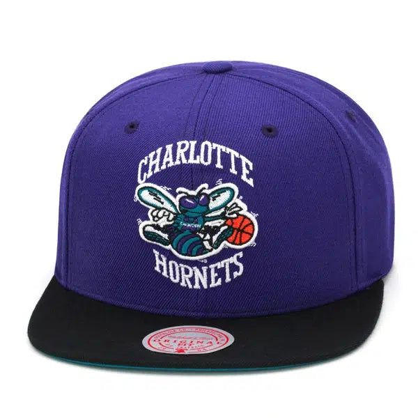 Mitchell & Ness Charlotte Hornets Core Basic Throwback HWC Snapback Hat Purple-Black Sheep Skate Shop