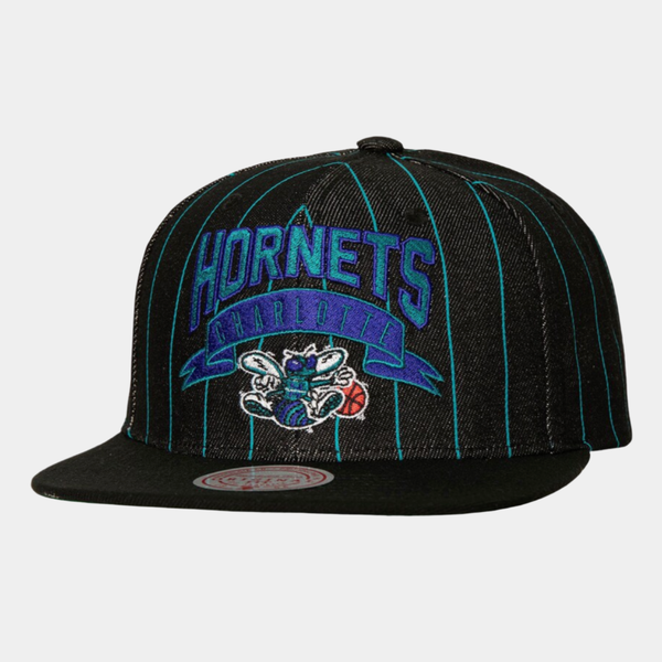 Mitchell & Ness Charlotte Hornets Dem Stripes HWC Snapback Hat Black-Black Sheep Skate Shop