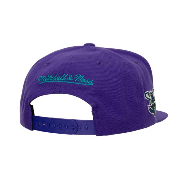 Mitchell & Ness Charlotte Hornets Retro Sport HWC Snapback Hat-Black Sheep Skate Shop