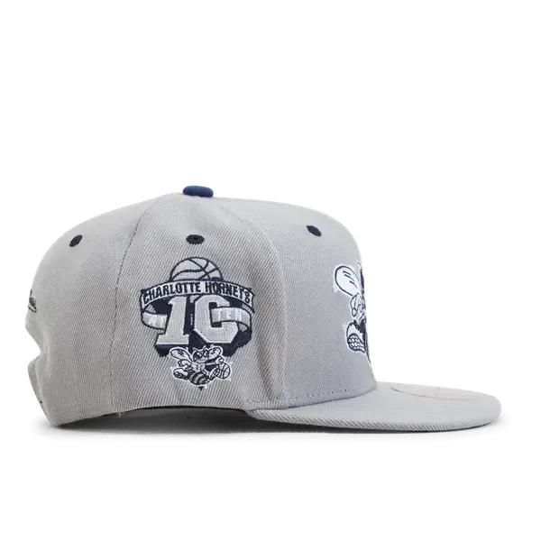 Mitchell & Ness Charlotte Hornets The District HWC Snapback Hat Grey - Navy-Black Sheep Skate Shop