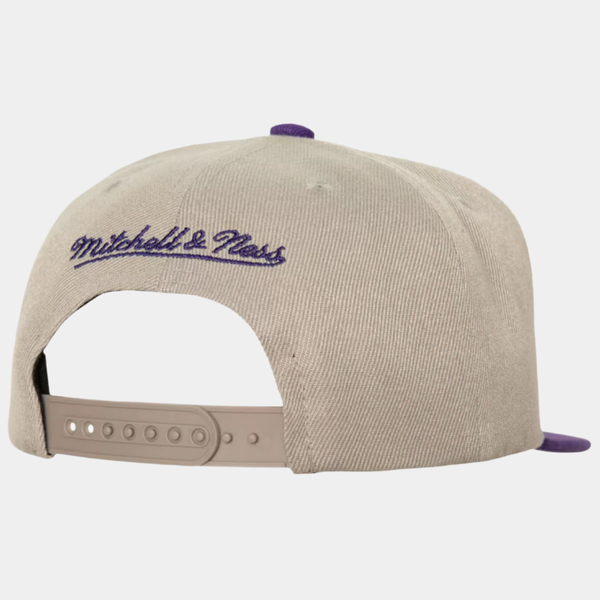 Mitchell & Ness Charlotte Hornets Top Letter HWC Snapback Hat Grey-Black Sheep Skate Shop
