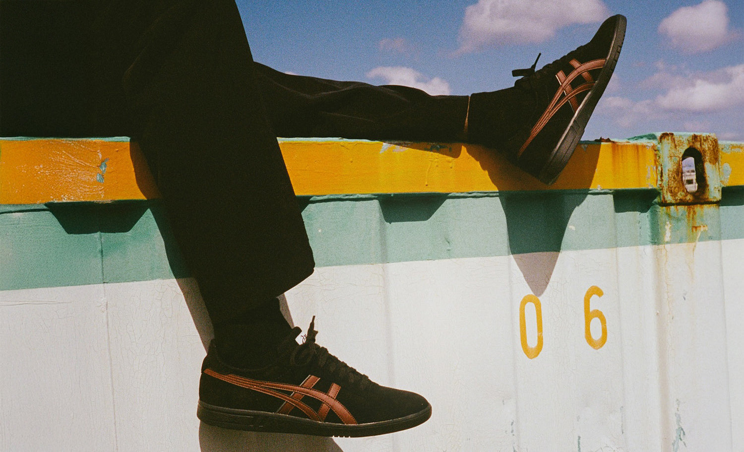 Asics Skateboarding Skate Shoes