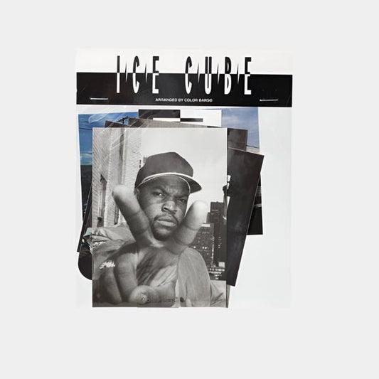 Color Bars x Ice Cube Sticker Pack-Black Sheep Skate Shop
