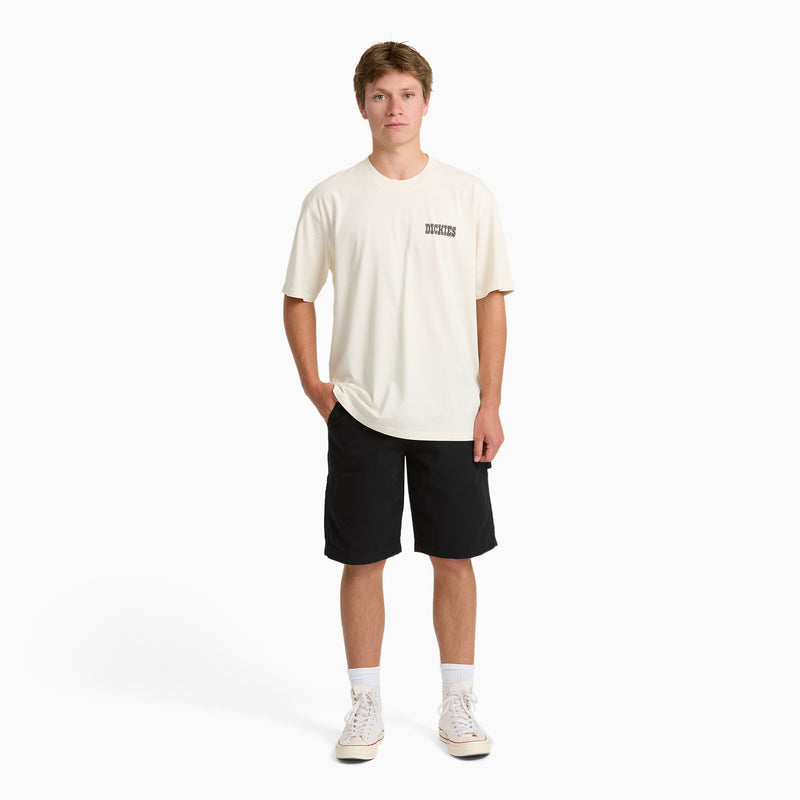 Dickies Buchtell Graphic T-Shirt Egret