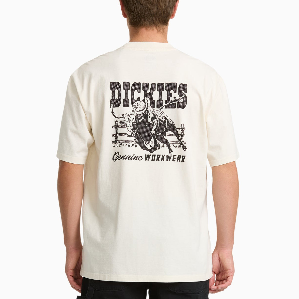 Dickies Buchtell Graphic T-Shirt Egret