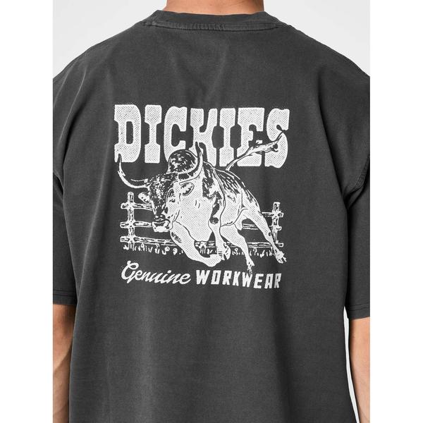 Dickies Buchtell Graphic T-Shirt Faded Black-Black Sheep Skate Shop