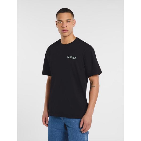 Dickies Snake Graphic T-Shirt Black-Black Sheep Skate Shop