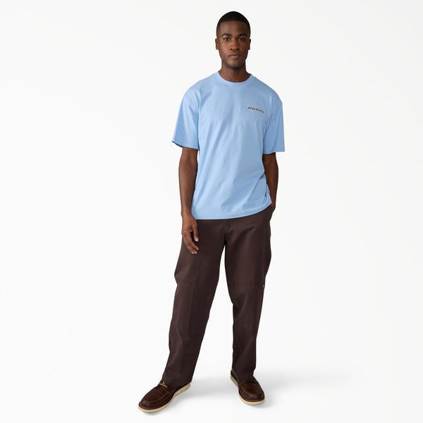 Dickies Worn In Loose Fit Double Knee Work Pants Dark Brown-Black Sheep Skate Shop