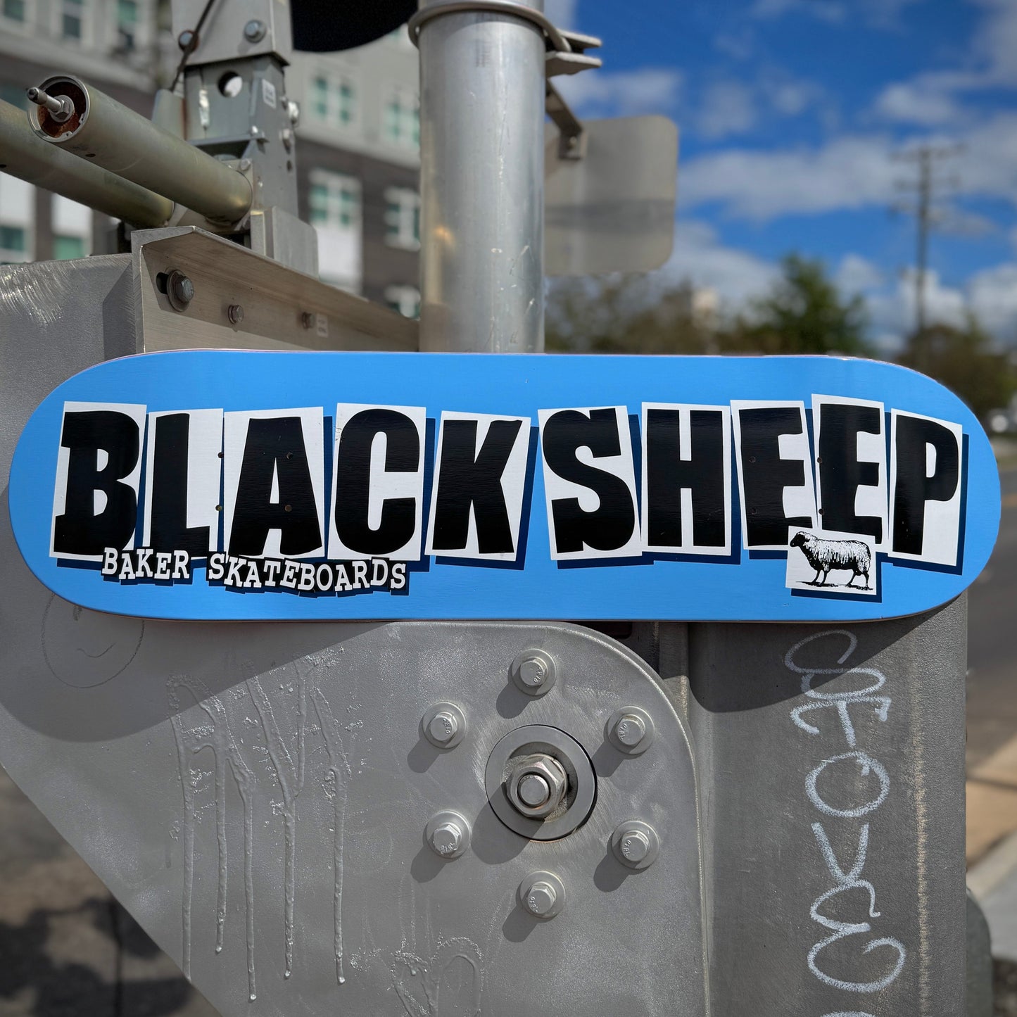 Baker Skateboards x Black Sheep Brand Logo Deck Carolina Blue