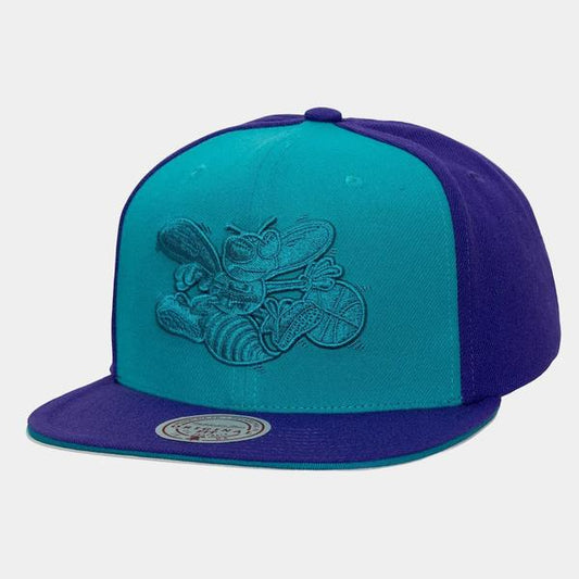 Mitchell & Ness Charlotte Hornets Color Pop Pro HWC Snapback Hat Purple - Teal-Black Sheep Skate Shop
