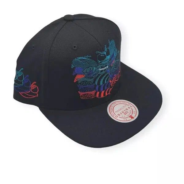 Mitchell & Ness Charlotte Hornets Drop It HWC Snapback Hat-Black Sheep Skate Shop