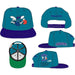 Mitchell & Ness Charlotte Hornets NBA Team Origins Snapback Hat-Black Sheep Skate Shop