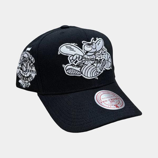 Mitchell & Ness Charlotte Hornets Panda Pro HWC Snapback Hat Black-Black Sheep Skate Shop