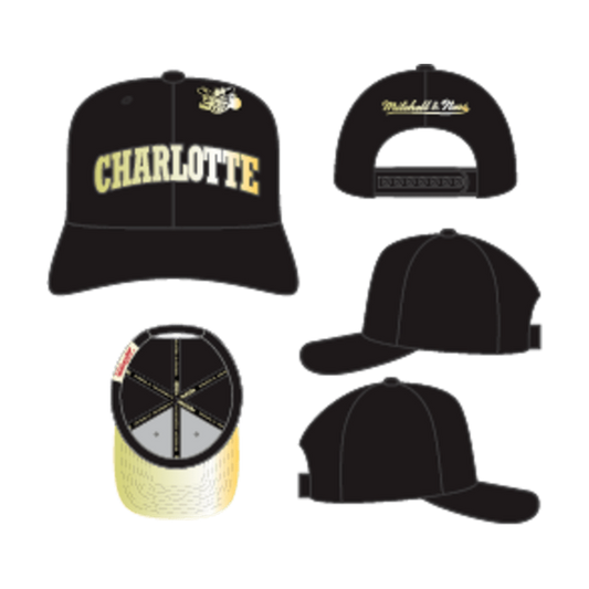 Mitchell & Ness Charlotte Hornets Pinned Gold Pro HWC Snapback Hat Black-Black Sheep Skate Shop