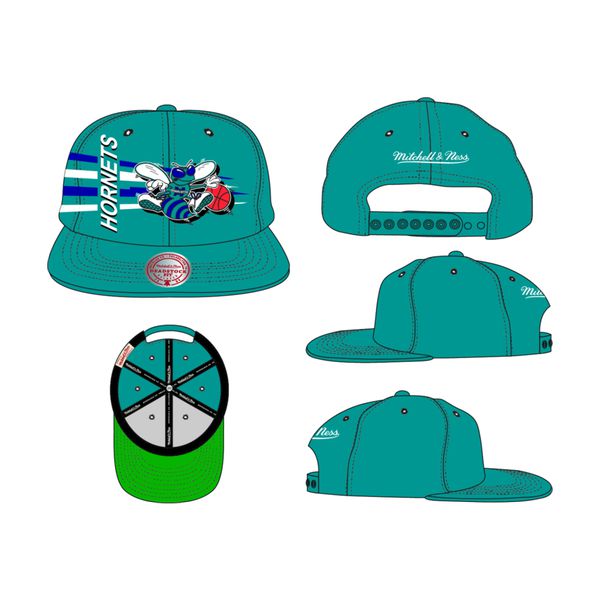 Charlotte hornets retro hat online