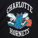 Mitchell & Ness Charlotte Hornets Team Basic 2 T-Shirt Black-Black Sheep Skate Shop