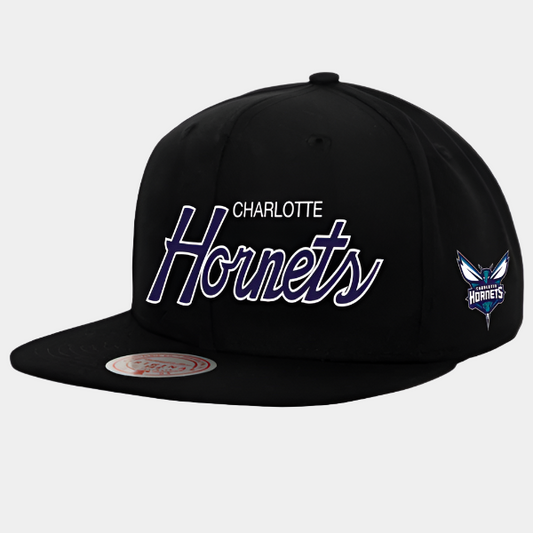Mitchell & Ness Charlotte Hornets Team Script 2.0 HWC Snapback Hat Black - Purple-Black Sheep Skate Shop