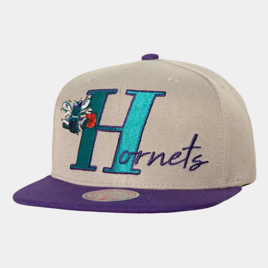Mitchell & Ness Charlotte Hornets Top Letter HWC Snapback Hat Grey-Black Sheep Skate Shop