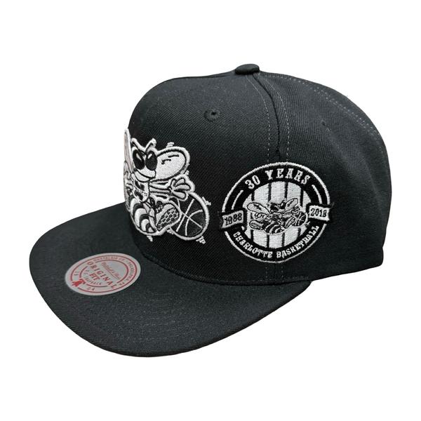 Mitchell & Ness Charlotte Hornets Trifecta HWC Snapback Hat Black-Black Sheep Skate Shop