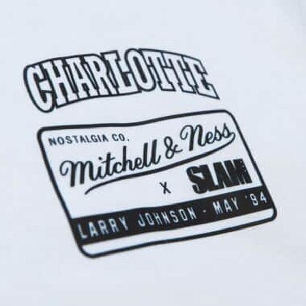 Mitchell & Ness Men's Mitchell & Ness Larry Johnson Teal Charlotte
