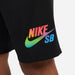 Nike SB "Be True" Sunday Skate Shorts Black-Black Sheep Skate Shop