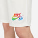Nike SB "Be True" Sunday Skate Shorts Sail-Black Sheep Skate Shop