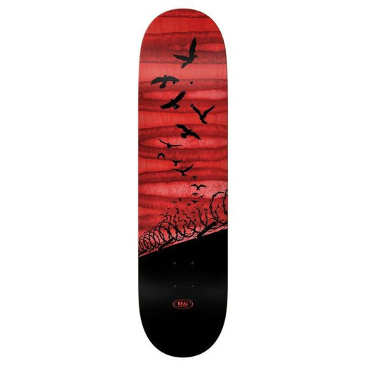 Real Skateboards Set Free Spectrum Deck 8.06"-Black Sheep Skate Shop