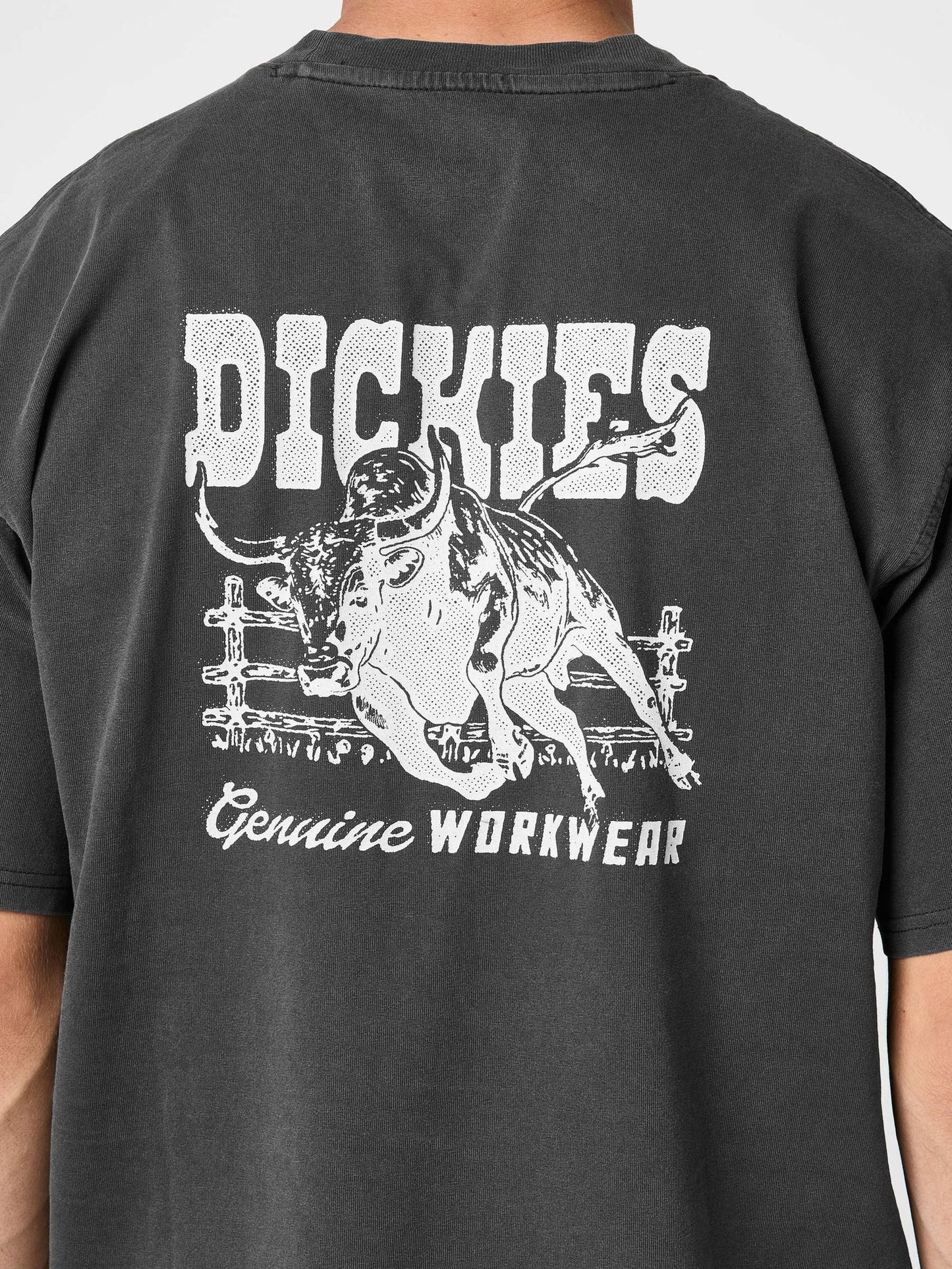 Dickies Buchtell Graphic T-Shirt Faded Black