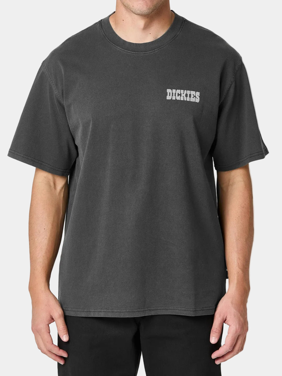 Dickies Buchtell Graphic T-Shirt Faded Black