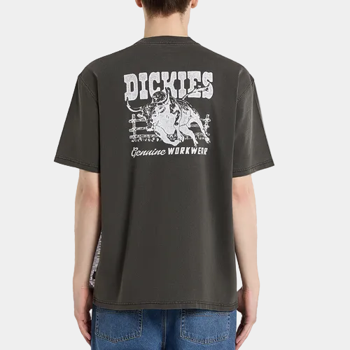 Dickies Buchtell Graphic T-Shirt Faded Black